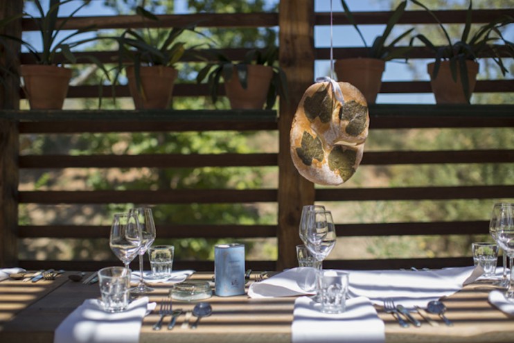 A feast for all the senses - Design Indaba's Speaker lunch at Babylonstoren. Images curtesy of Adel Ferreira.