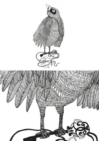 Bird portrait art print by Lauren Fowler. 