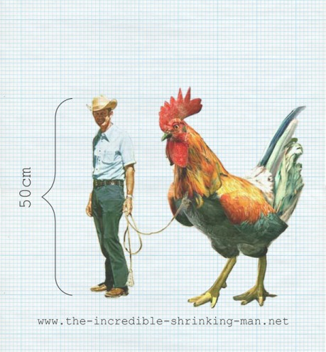 Incredible Shrinking Man – Arne Hendriks