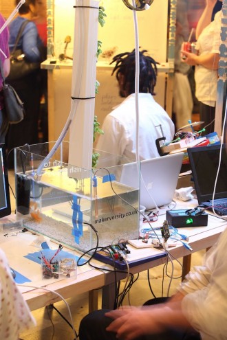 An aquaponics experiment at the Thingking Maker Library. 