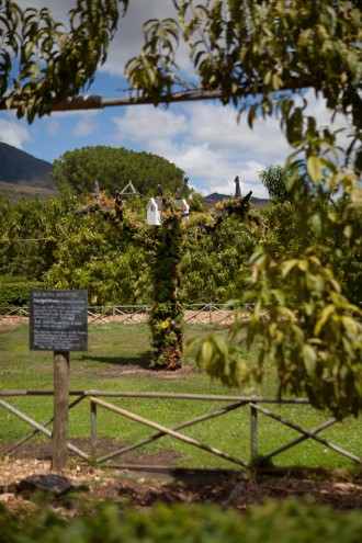 Bee hotel at Babylonstoren.