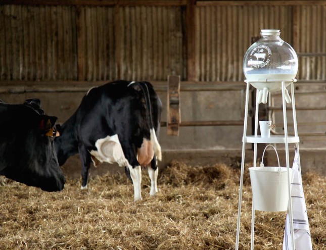 5.5 Design Studio have created the "Vache à Lait" (Milk Cow) in order to reconnect consumers to the idea of milk coming from the udder