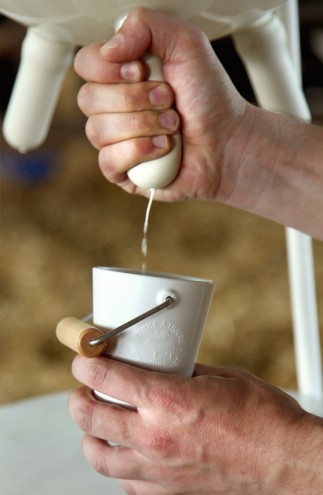 5.5 Design Studio have created the "Vache à Lait" (Milk Cow) in order to reconnect consumers to the idea of milk coming from the udder