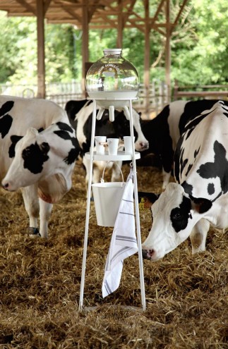 5.5 Design Studio have created the "Vache à Lait" (Milk Cow) in order to reconnect consumers to the idea of milk coming from the udder. 