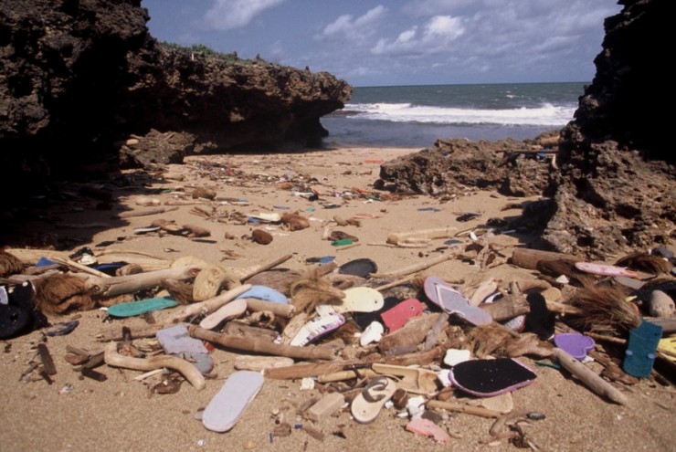 More plastic on the beach. 