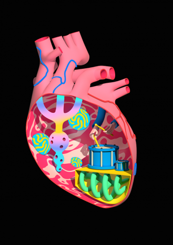 Heart by Jack Sachs
