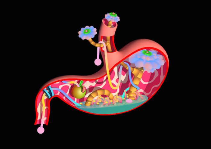 Stomach by Jack Sachs