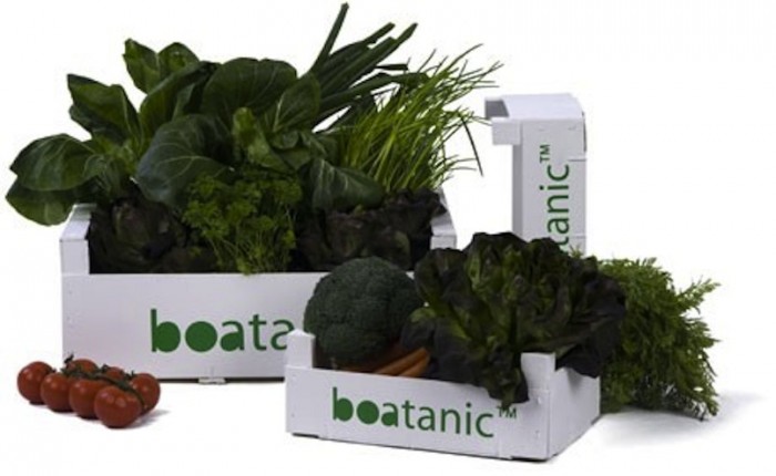 Boatanic's yield. Photo: Damian O'Sullivan.