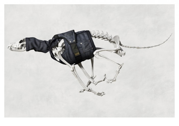 G-Star RAW Skeleton Dog. Image: G-Star RAW. 