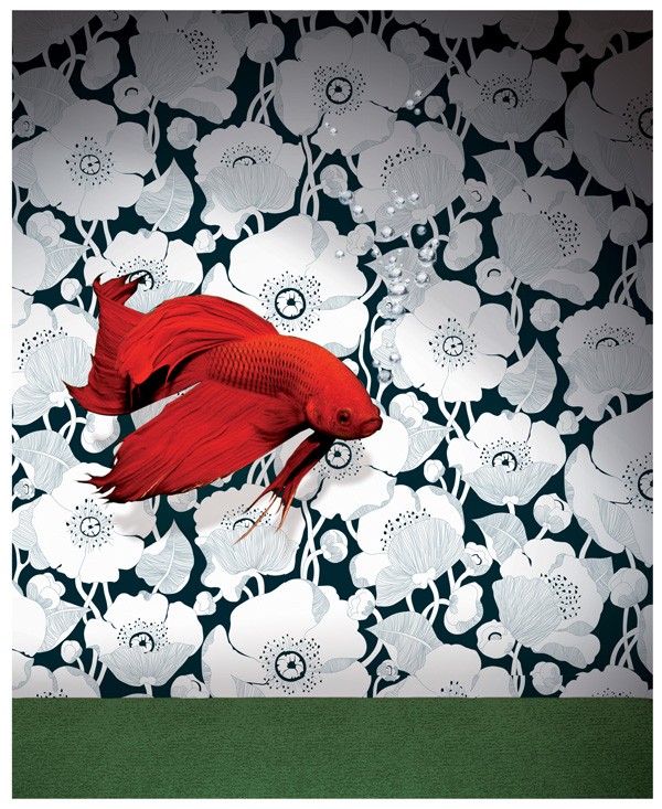 Witty wallpaper by Javier Mariscal