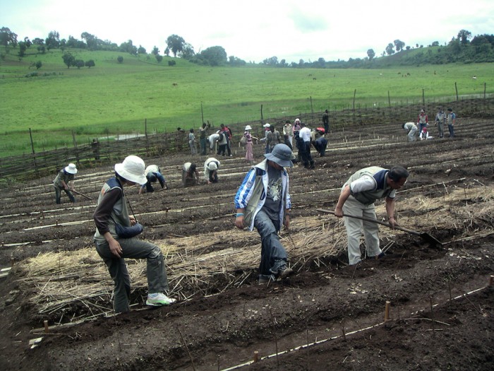 unhcr job vacancies in ethiopia ngo.org