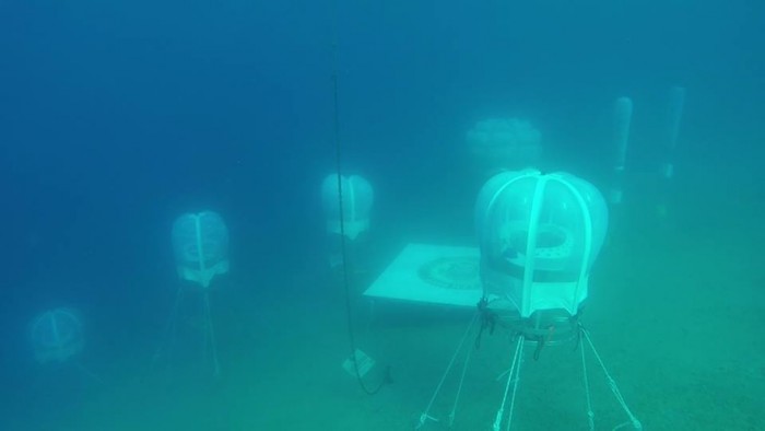 Italian scuba-diving father and son have found a way to grow fresh food nearly 10 metres underwater in the sea