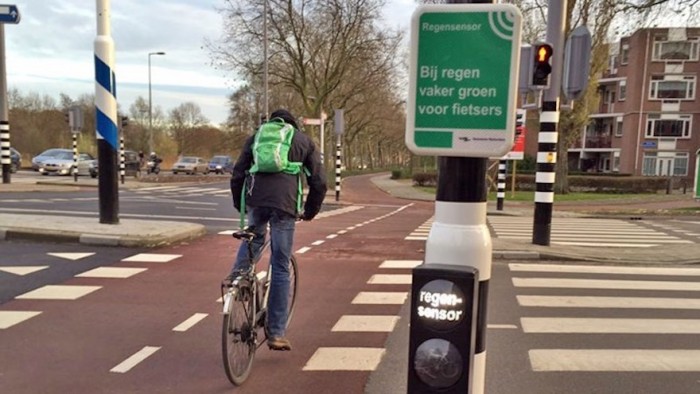 traffic light rotterdam