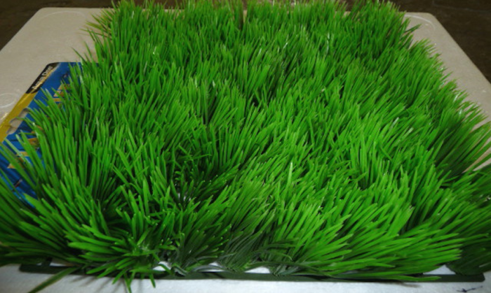 Plastic grass