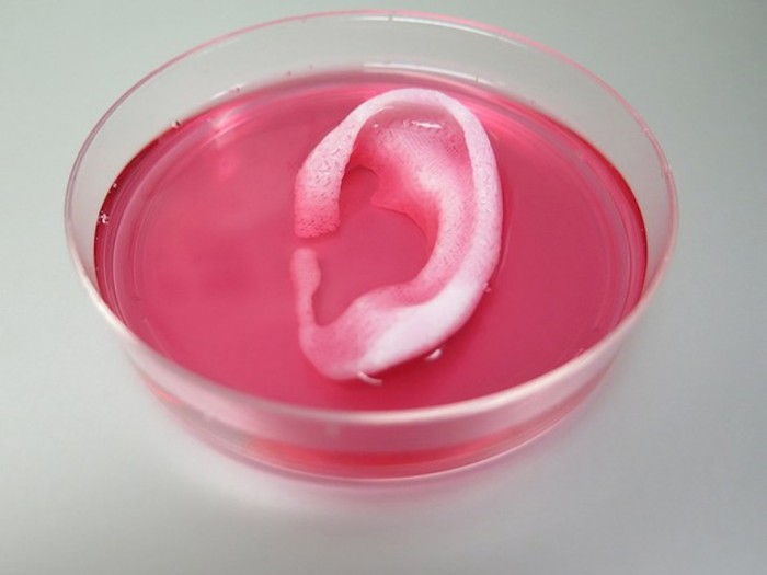 3D bioprinting