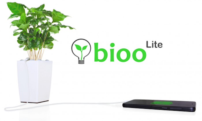 Bioo plant is the greenest way to recharge your device Bioo plant is the greenest way to recharge your device
