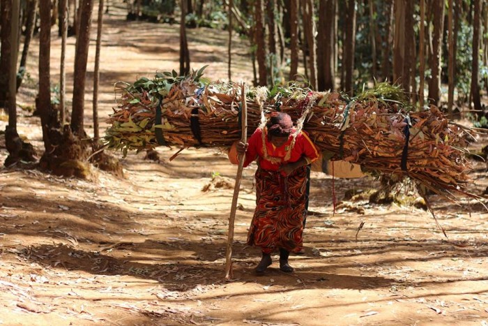Tadesse spent a day with Kebebush, a local wood carrier