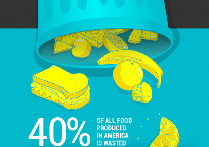 Transfernation food waste redistribution Transfernation