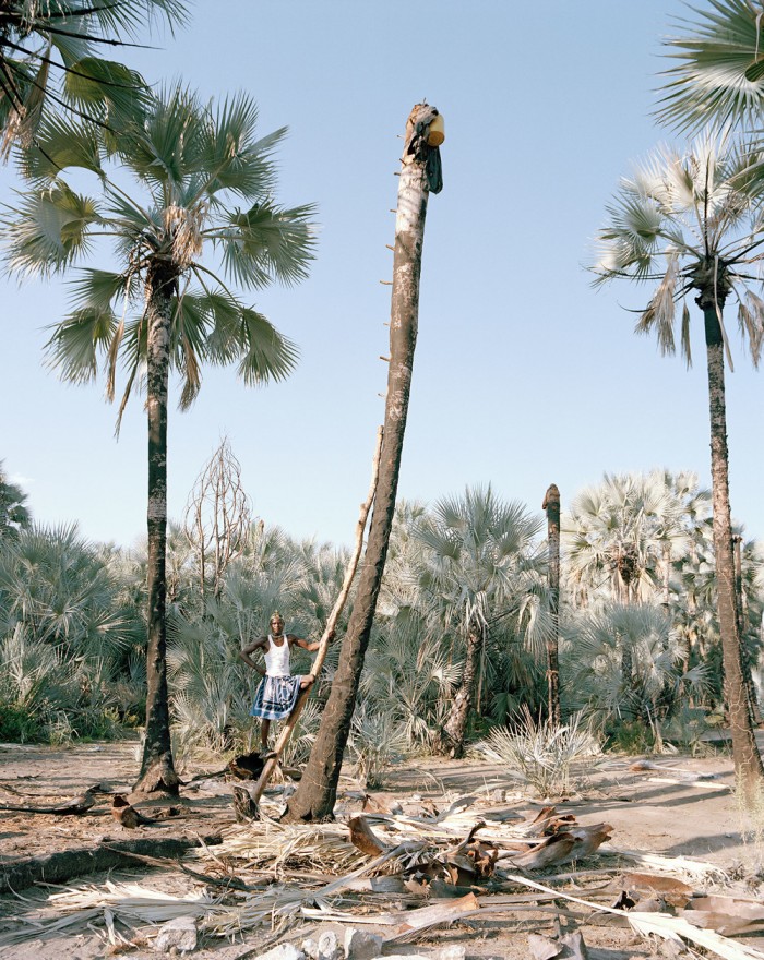 Photographs capture the dangerous practice of wine collecting in Namibia 