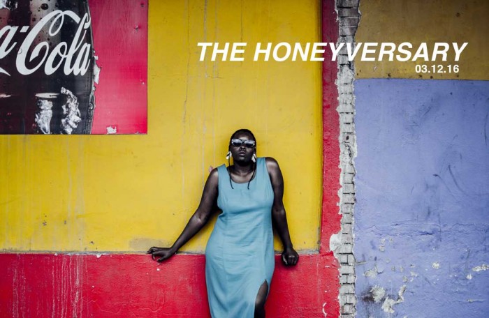 Kgomotso Neto Tleane and Rendani Nemakhavhani - The Honeyversary