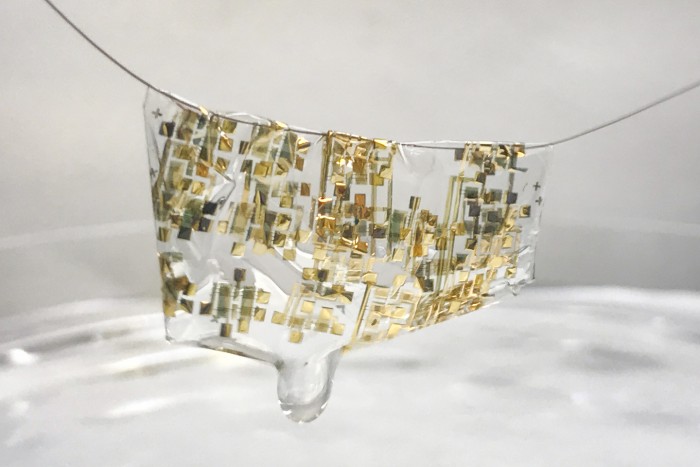 A newly developed flexible, biodegradable semiconductor developed by Stanford engineers shown on a human hair. (Image credit: Bao lab)