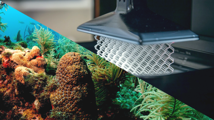 Coral reef 3D printing