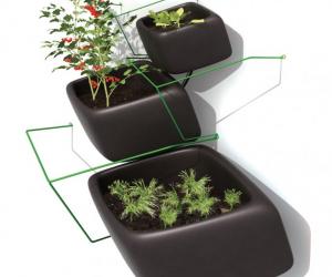 Wallflower Vertical Garden is a modular planter system by Haldane Martin