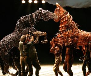  Topthorn (left) and Joey in the West End in the London production of War Horse. 