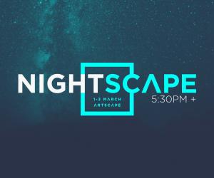 Design Indaba Nightscape