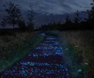 Van Gogh Bicycle Path by Daan Roosegaarde