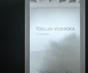 Crystallize exhibition by Tokujin Yoshioka. 