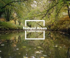 Natural Areas Conservancy of New York City identity by Paula Scher. 