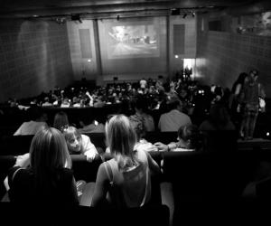 Design Indaba Simulcast Audience 2013