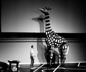 Handspring Puppet Company on stage at Design Indaba Conference 2010. 