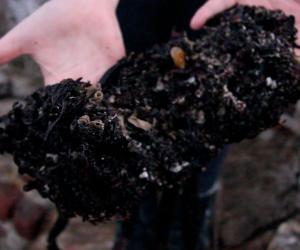Seaweed is the raw material in Alejandra Olivera's design of the Biopanel. 