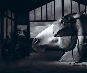 Nic Fiddian Green's massive sculptures of horses' heads are now standing all around the world.