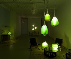 Jacob Douenias and Ethan Frier's exhibition "Living Things", photos by Tom Little, courtesy of the Mattress Factory