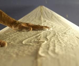 In a photo series focusing on master artisans, we look at the hands of the makers. Image: Robin Bernstein