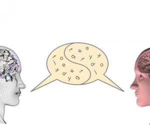 ANNABELL is an effort to uncover the process of language development. 