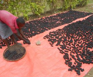 Ugandan Betty Ikalany founded AEST Ltd in order to help women in her community have access to clean cooking fuel