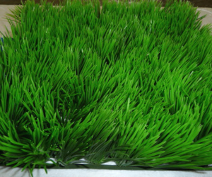 Plastic grass