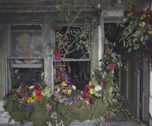 This broken home was given new life. 