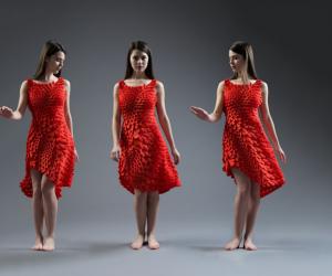 The Kinematics Petal Dress