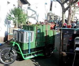 Carla Cargo bike trailer