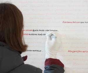 Visitors contribute to the Seeing Red..Overdrawn exhibition