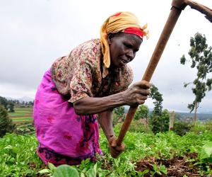 Women tending to farm-fields in Kenya 