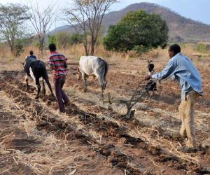 Zambia subsistence farming