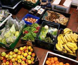 Bo Welfare Denmark