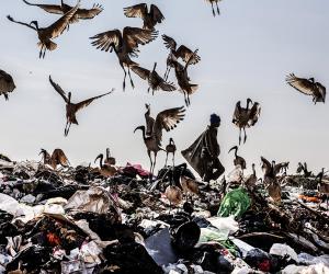 Recyclers. "Wake up, This is Joburg" is a series of 10 books that tells the stories of the peculiar urban inhabitants of Johannesburg. Image: Mark Lewis