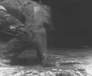 PPC Imaginarium Awards: Kyle Goulden film category 2015/2016 winner 